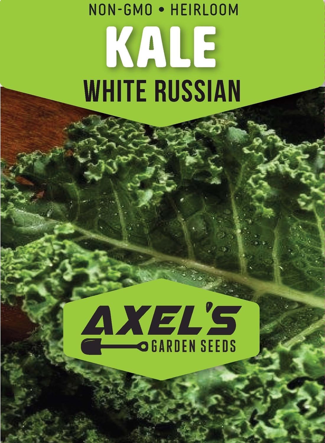 Kale Seeds for Planting - Plant & Grow Heirloom Kale Varieties Home Outdoor Garden – Easy Grow Planting Packet Instructions Included, Great Gardening Gift – 2 Packets of Each Variety