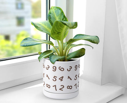 D'vine Dev Set of 2 Ceramic Planter Pots with Drainage Hole and Saucer, 6 Inch Plant Pots for Plants Indoor Houseplants, White, 99-Z-B-1-Y