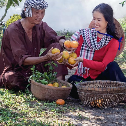 Portable Fruit Picker Basket with Adjustable Strap, Fruit Picker Pole Tool for Harvesting Cherries Blueberries and Tomatoes
