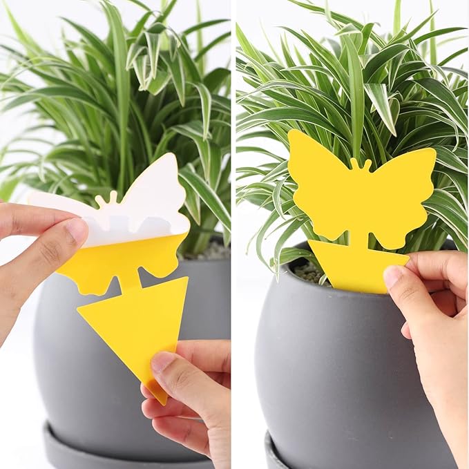 Garsum Fruit Fly Sticky Trap for Indoor and Outdoor, Fungus Gnat Killer for Houseplant,Mosquitos, Flying Insect, White Flies, 120 Pack