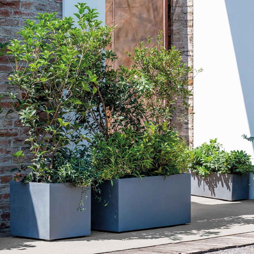 Deroma Millennium 15” Cube Planter | Light & Durable Plastic | Indoor or Outdoor Square Pot for Patio/Porch | Includes Water Reserve & Drain Plug | Trendy Planter for Plants, Flowers, Garden | Grey