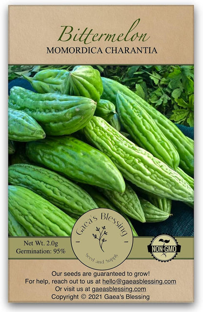 Gaea's Blessing Seeds - Bitter Melon Seeds - Bitter Gourd Heirloom Non-GMO Bittermelon Seeds with Easy to Follow Planting Instructions - 92% Germination Rate (Pack of 1)