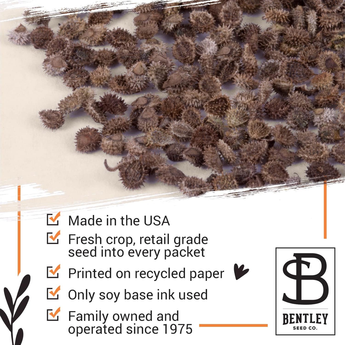 Bentley Remembrance Poppy Seeds - The Ones Who Love Us Never Really Leave Us - Non-GMO Memorial Funeral Keepsake Favor Packets for Planting & Growing Plants in Memory