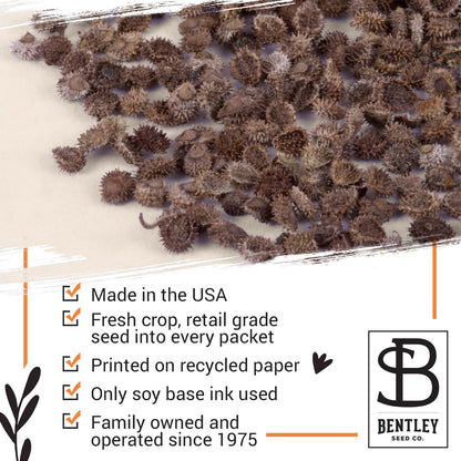 Bentley Remembrance Poppy Seeds - The Ones Who Love Us Never Really Leave Us - Non-GMO Memorial Funeral Keepsake Favor Packets for Planting & Growing Plants in Memory