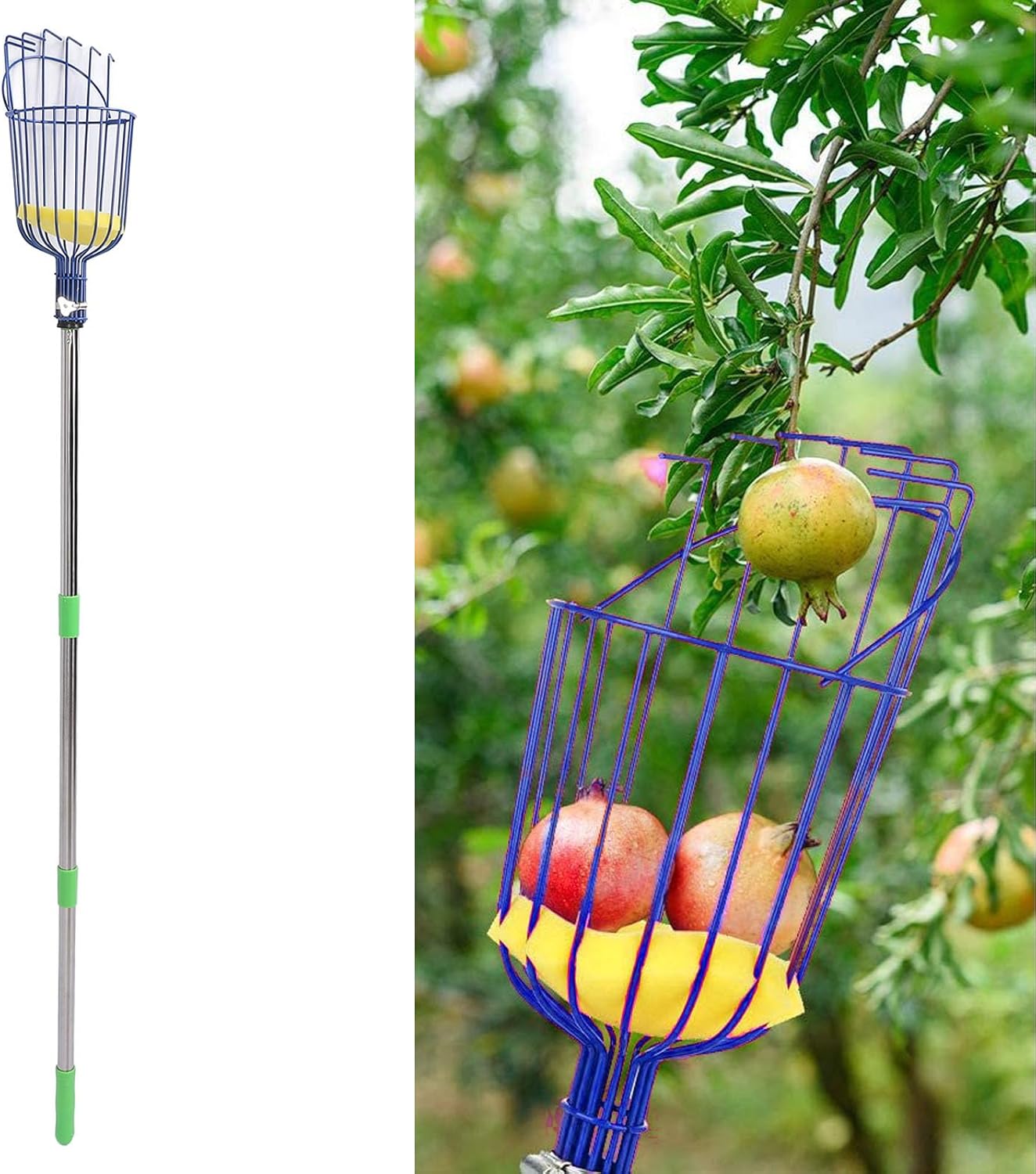 Tyenaza Fruit Picker Pole Tool with Basket Long Handle, Stainless Steel Fruit Picker Tool with Basket Pole Easy to Assemble Fruits Catcher Tree Picker Length Adjustable