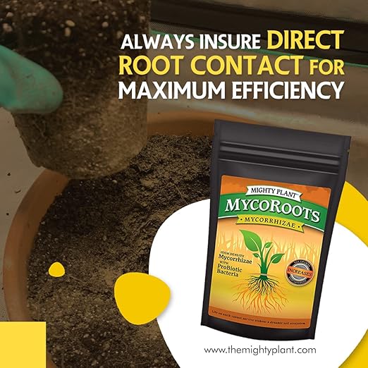 Organic MycoRoots Ultra-Concentrated Mycorrhizal Fungi Root Enhancer – 500 Spores/Gram for Optimal Plant Growth & Health | Boost Soil Nutrient Absorption (1, Pounds)