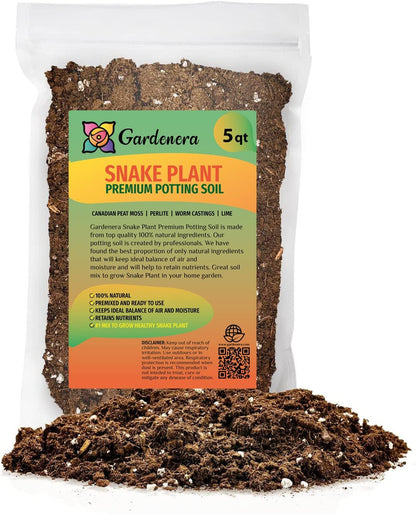 Gardenera RA Premium Snake Plant Potting Soil Mix, Green Sansevieria Trifascatia Zeylanica Plants, Plant or Re-Pot Your Snake Plant - (5 Quart Bag), (SNAKE-PLANT-5QT)