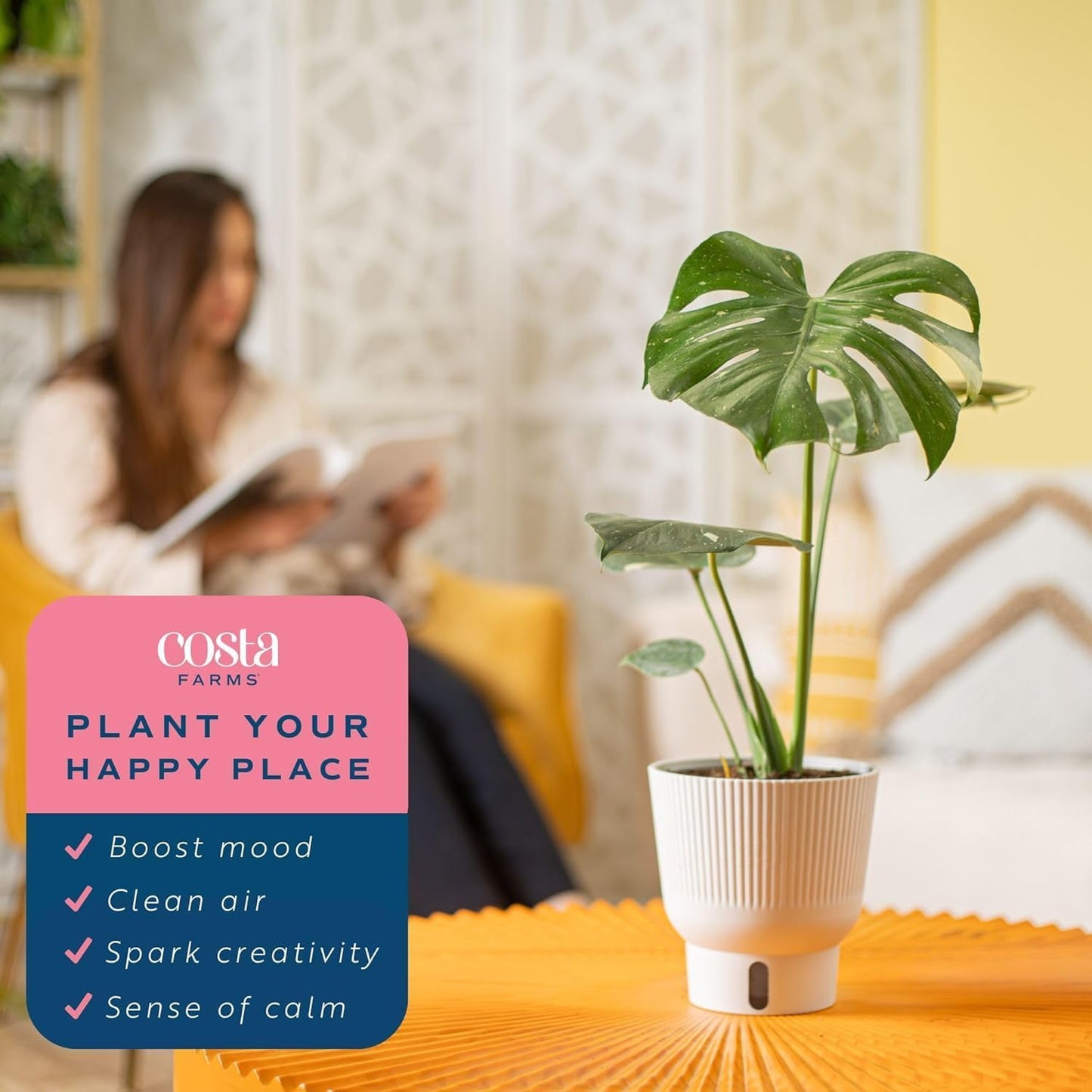 Costa Farms Thai Constellation, Variegated Monstera Live Plant in Self Watering Pot, Indoor Houseplant, Home, Room, or Office Decor, House Warming or Birthday Gift, 12-18 Inches Tall