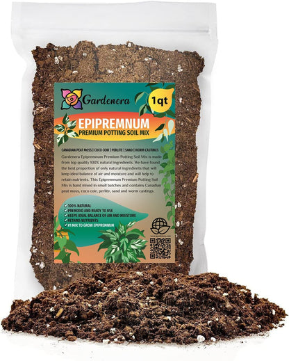Gardenera Premium Epipremnum Plant Potting Mix - Crafted for Lush Growth and Vibrant Foliage - 1 Quart