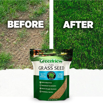 GreenView Pure Grass Seed Turf Type Tall Fescue Sun & Shade Blend, 7 lb. Bag – Covers up to 1,750 sq. ft.