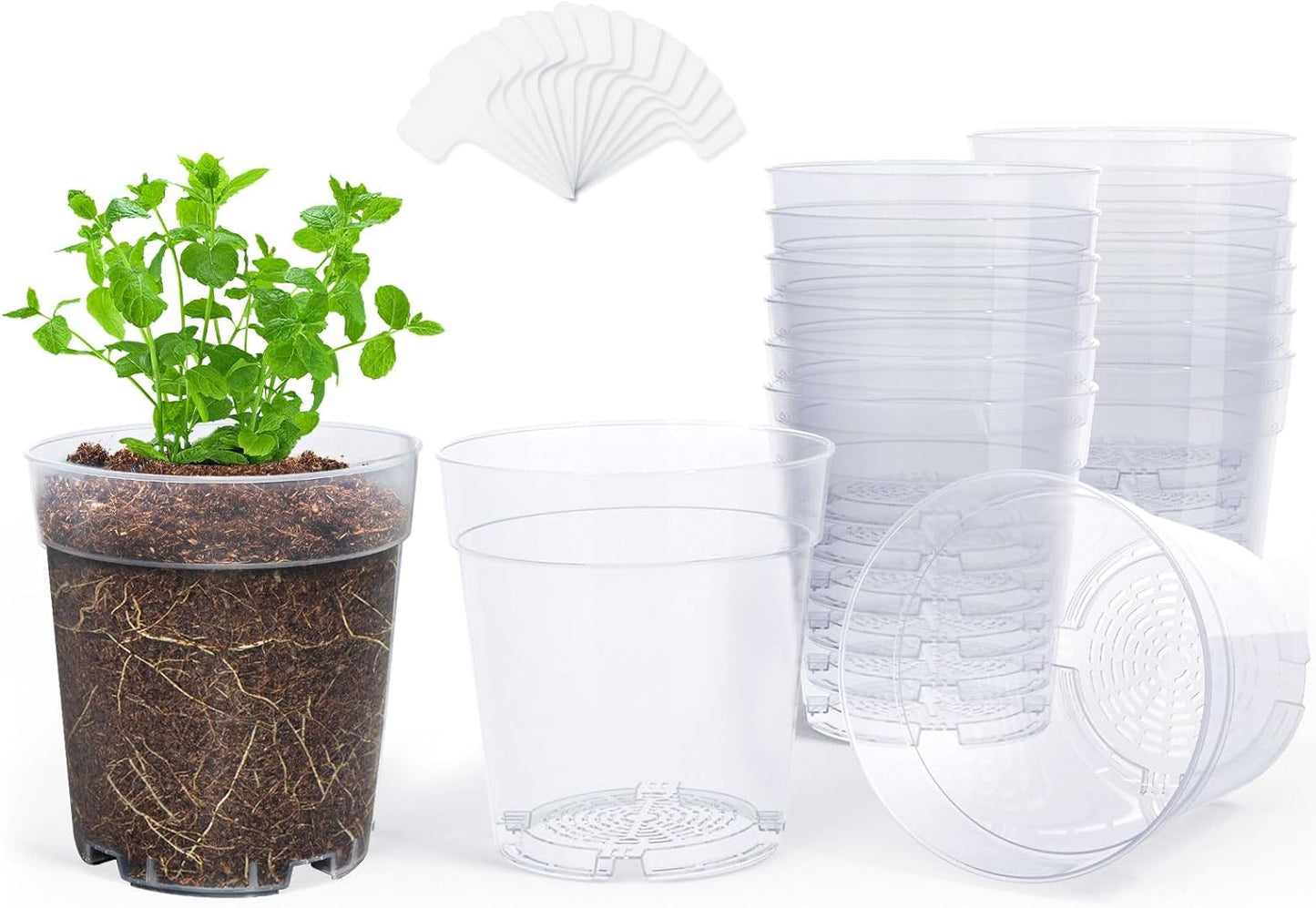 homenote Clear Nursery Pots for Plants,6.7 Inch Plant Pot for Planting Plastic Seedling with Drainage Holes Seed Starter Flower High Transparency with 20 Labels (15 Pack)