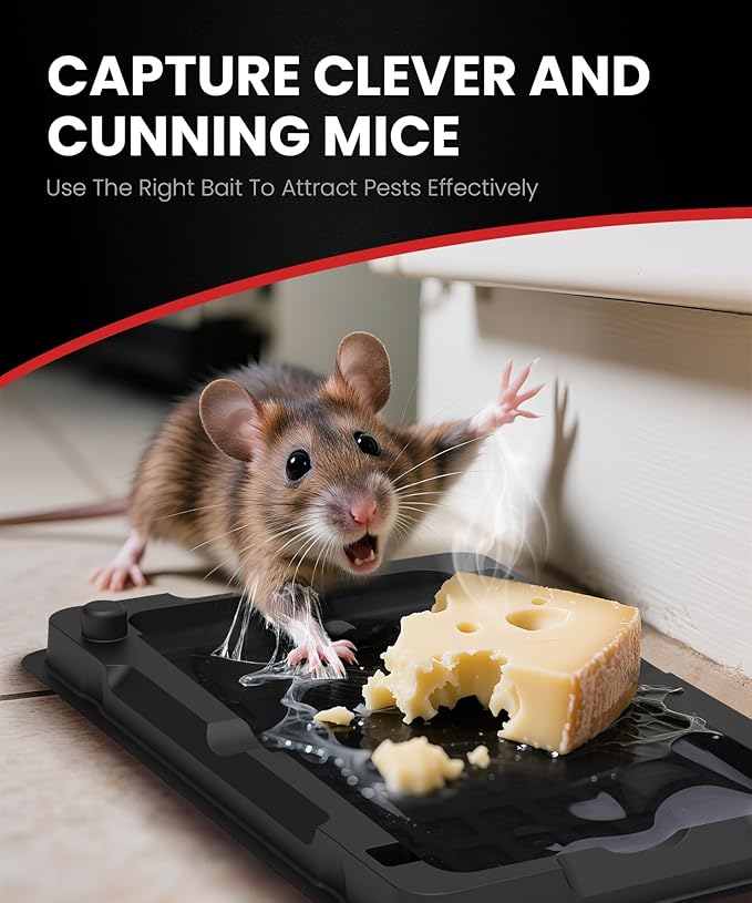 Sticky Mouse Traps Indoor for Home - 12 Pack Glue Traps for Roaches, Spider, Lizard, Rodent Catcher for Kitchen, Garage, Glue Boards for Insects, Pet Safe Pest Control, Non-Toxic, Small Size