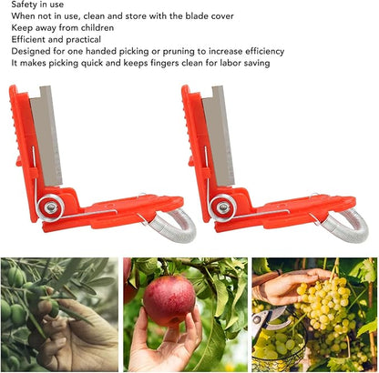 Garden Thumb Picking Knife Set, Fruit and Vegetable Harvesting Tool for Farm, Garden, Orchard, 10 Pack