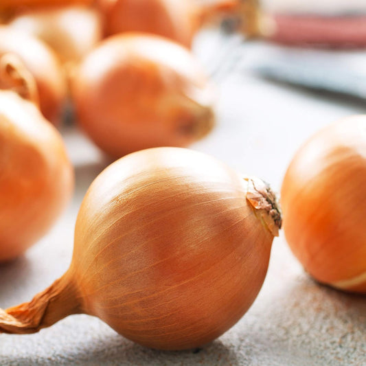 Onion Seeds - Hybrid - Yellow Granex PRR F1-1 Lb ~144,000 Seeds - Allium cepa - Farm & Garden Vegetable Seeds - Non-GMO, Hybrid, Annual