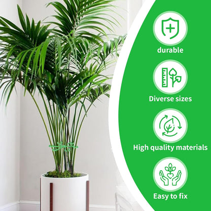 16pcs Climbing Houseplant Stem Supports,Plant Stems Supports for Indoor Plants with 4 Sizes,Reusable Plant stabilizer,Plants Accessories Stems Hook Growth for PlantsGarden (Green)