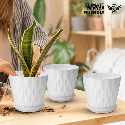 6 inch Plant Pots, 5 Pack Flower Pots Outdoor Indoor, Planters with Drainage Hole and Tray Saucer（White