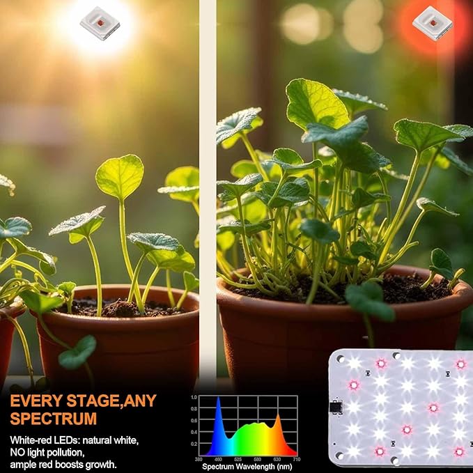 DOMMIA Grow Light, 20W Ultra-Thin Panel Grow Lights for Indoor Plants, High PPFD Full Spectrum, Dimmable, 6/12/16H Timer Auto on/Off, Suitable for Indoor Growing, Cold White 1-Pack