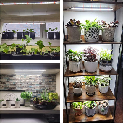 Wiaxulay LED Grow Light Strips, 6000K Full Spectrum Sunlike Growing Lamp with 6/12/16H Timer, 5 Dimmable Levels for Hydroponics, Succulent, Plant Shelf, 2 Pack