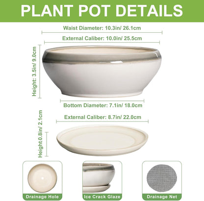 SQOWL Bonsai Pots Ceramic - 10 Inch Succulent Planters for Indoor Plants Outdoor, Shallow Round Planter with Drainage Hole and Saucer, Ceramic Planter Bowl, Office Decor, Gifts for Women, Gray-Beige