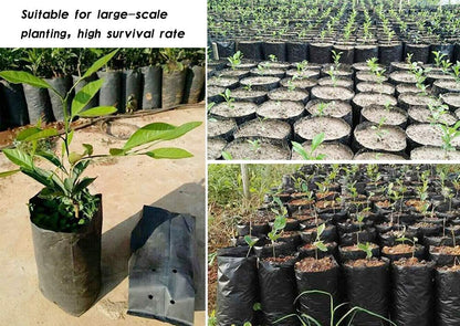 100 PCS Thicken Plastic Nursery Bags for Plants Fruit Flower Grow Bags Seedling Pots (6.69x11.81 in)