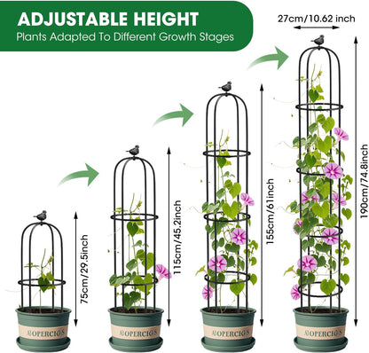 Garden Obelisk Trellis for Climbing Plants Outdoor 6.2 Ft Rose Bush Round Trellis for Pots Rustproof Metal Plant Flower Trellises for Clematis Vine Jasmine Support Outdoor Indoor (Black, 6.2ft)