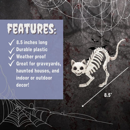 SCS Direct Kitten Skeleton Halloween Decoration (3 Pack)-7.5" Long-Weather Resistant - Upgrade Your Fall Graveyard Haunted House Party Props, Trick-or-Treat Decor, School Classroom