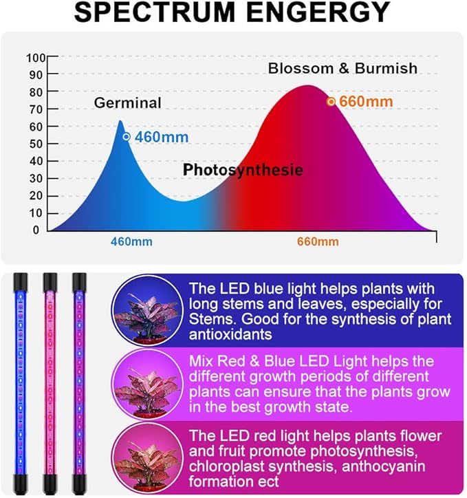 LED Grow Lights for Indoor Plants - 20 LED Full Spectrum Plant Lights, 3 Switch Modes, 3/9/12H Timer, 9 Dimmable Brightness Growth Lamp for Succulent, Vegetables
