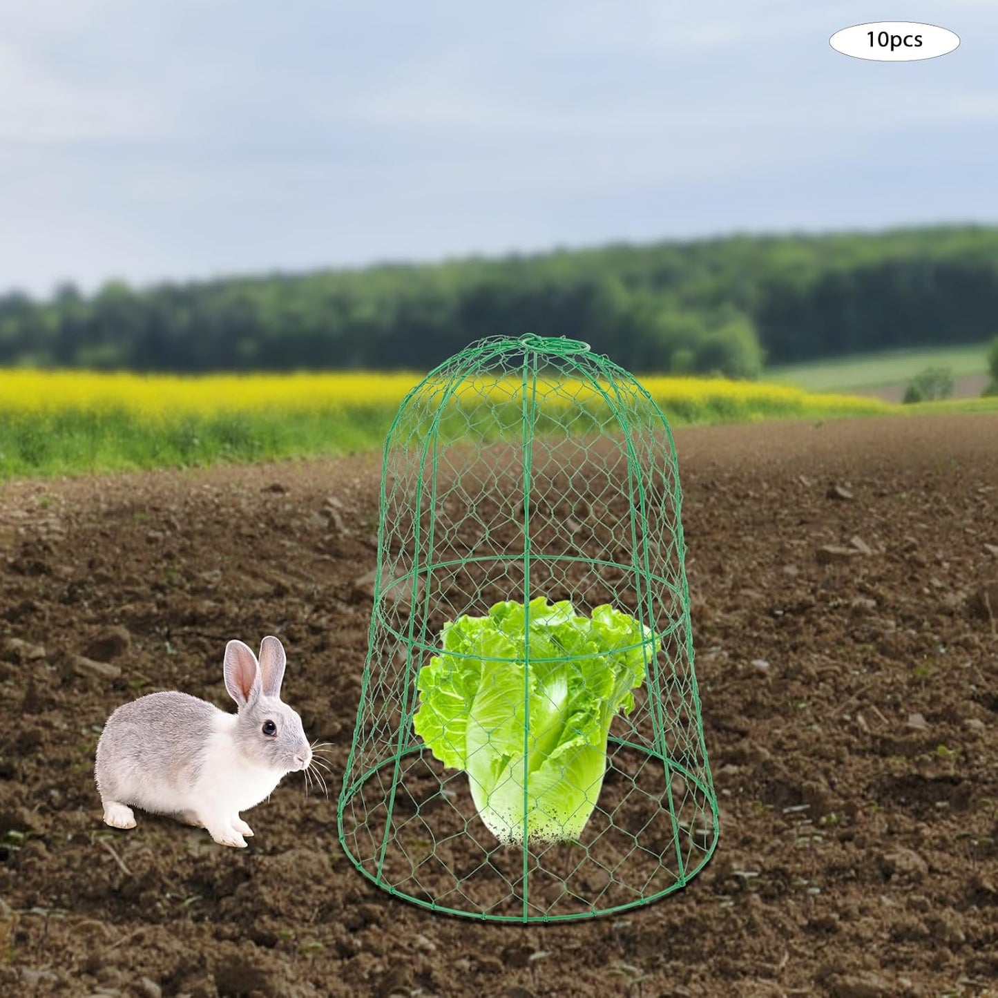 10 PCS Garden Chicken Wire Cloche,13" Diameter x 15.7" Height Large Plant Protector Cover with 40 U-Shaped Ground Nails,Sturdy Metal Cage for Keep Animals Out Garden (Green)