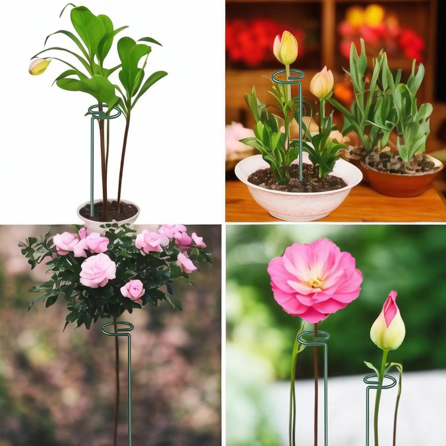 4.5mm Adjustable Length Plant Stake, Assembled (12 or 24 inch) Outdoor and Indoor Plant Support Poles for Flowers Marigolds Tomatoes Lilies Peonies Roses Daffodils Flower Clips (6 Sets, 18 Pcs)