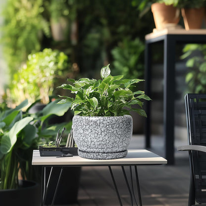 SQOWL 8 inch Plant Pot - Ceramic Planter with Drainage Hole and Saucer, Round Flower Pot for Indoor Plants, Decorative Planter Outdoor, Patio Balcony Decor, House Warming Gifts, Black and White