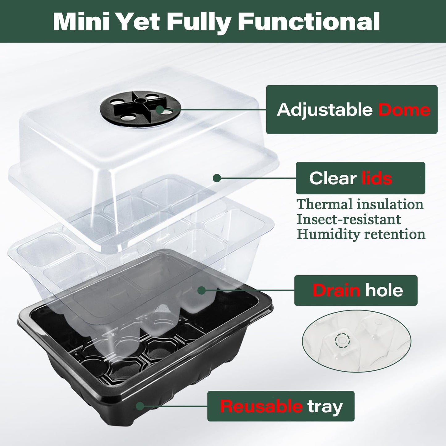 ZeeDix 2 Set Seed Starter Tray Kits with 30 Pack Coco Coir Pellets