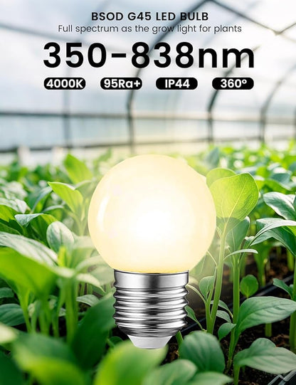 Full Spectrum Light Bulb, LED Light Bulb G45 Small Lightbulbs E26 White 5W Eq 40W Sunlight Night Appliance Bulb for Home, Growing, Plant, Freezer, Lamp (1 Natural White Bulb)