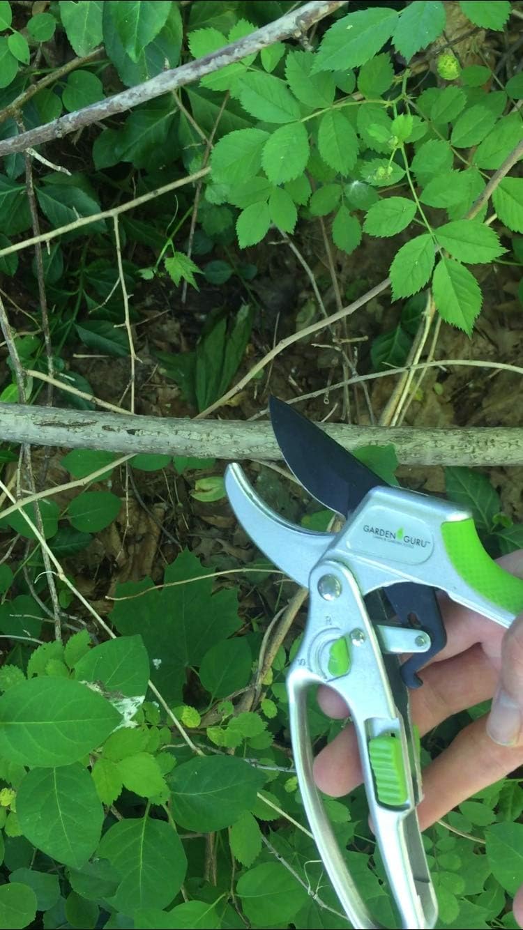 Garden Guru Ratchet Hand Pruning Shears - 2 in 1 Professional Garden Clippers with Ergonomic Grip - Makes Tough Cuts Easy (4 Pack)