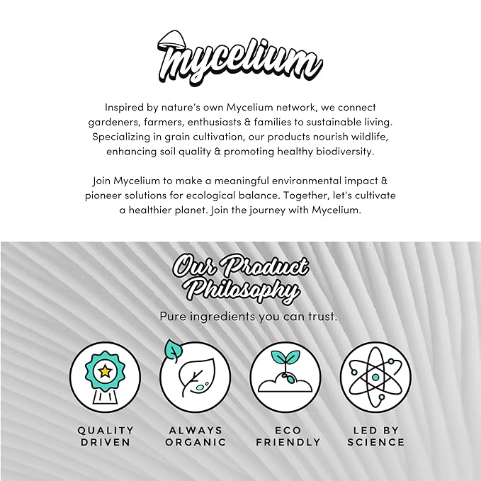 Mycelium’s King Trumpet Gourmet Mushroom Kit | 5LBS Oak & Soy Hull with Millet Blend | 20ML Liquid Culture Syringe | All-in-One Complete Cultivation Kit | Pre-Sterilized - Home Growing Made Easy