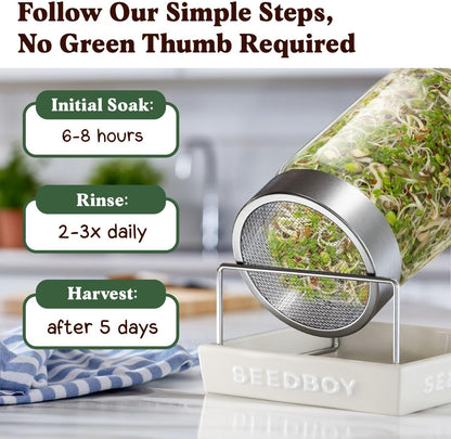 Seedboy Organic Non-GMO Sprouting Seeds, Fresh Salad Blend – USA Grown Microgreens Mix with Alfalfa, Broccoli, Radish, Mung Bean & Lentil – 8 oz Bag Makes 8 Quarts / 24 Servings (Salad Blend)