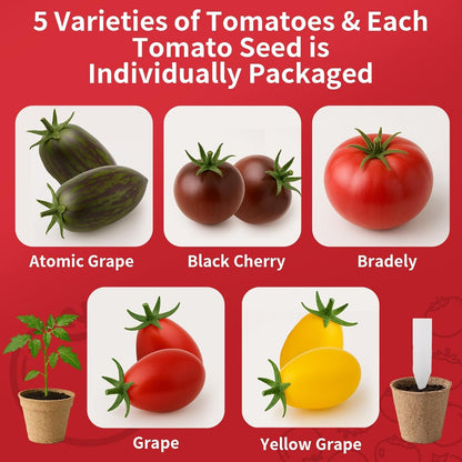 5 Pack Tomato Seeds for Planting - 100+ Heirloom Tomato & Tomatillo Seeds Variety Pack to Grow in Your Home Vegetable Garden, Non-GMO, Complete Gardening Starter Gift