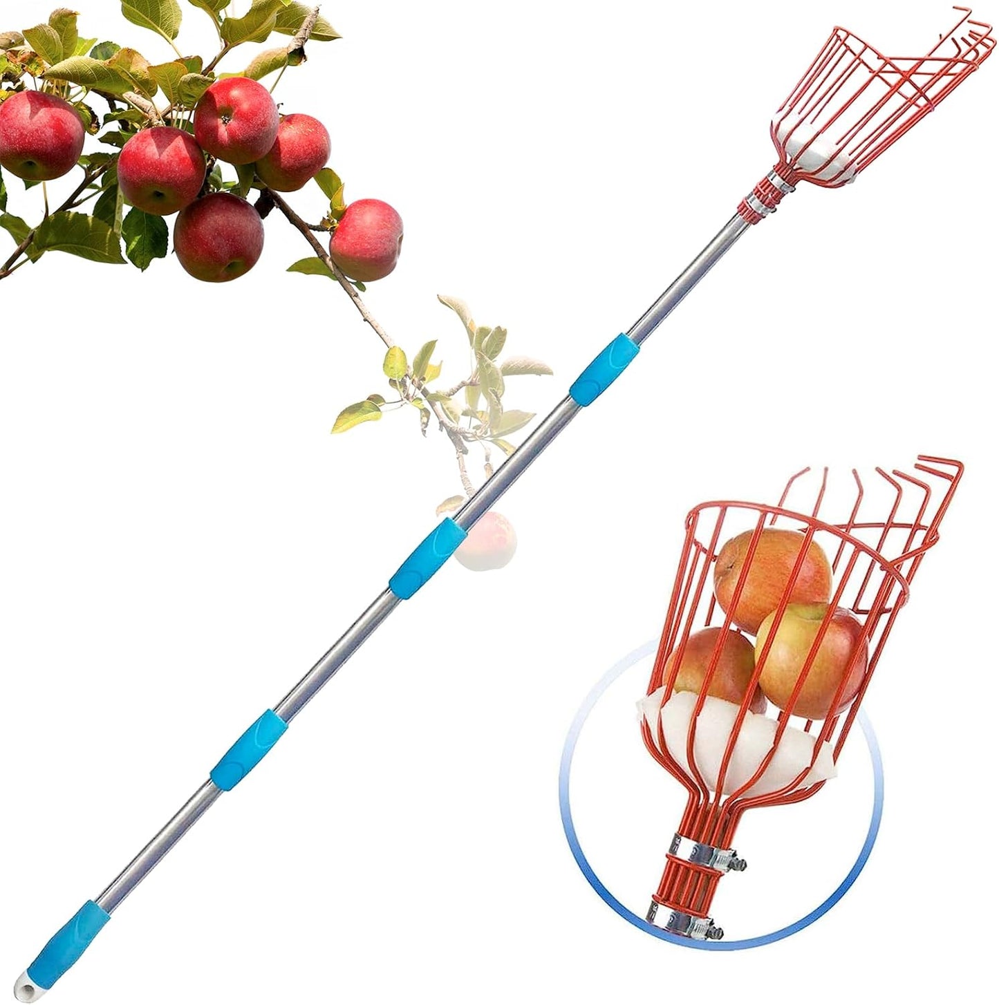 Adjustable Fruit Picker with Telescoping Handle and Basket, 35-65 Inches - Ideal for Apple, Orange, Avocado, Lemon, Pear, and Mango Harvesting