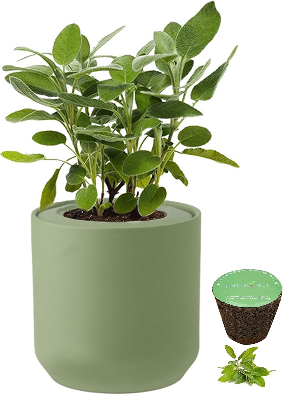 Hydroponic Herb Growing Kit, Self-Watering Kitchen Herb Garden Starter Kit with Green Ceramic Pot and Seeds (Sage