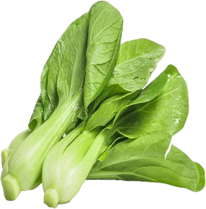 All Year Round Organic Chinese Cabbage Seeds, 1000pcs, Non-GMO, High 95% Germination, Perfect for Every Season