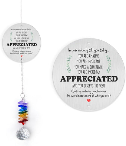 Aluminum Ornament Suncatcher - You are Appreciated - Inspirational Gift Ideas - Encouragement Christmas Ornament - Thank You Gifts for Women Men Friends - Appreciation Gifts for Coworker
