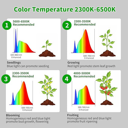 chiphy Grow Lights, 85" Full Spectrum Plant Light for Indoor Plants, 4/8/12H Timer, 40W Grow Lamp, 10 Dimmable Brightness, Height Adjustable, Ideal for Large Tall Plants