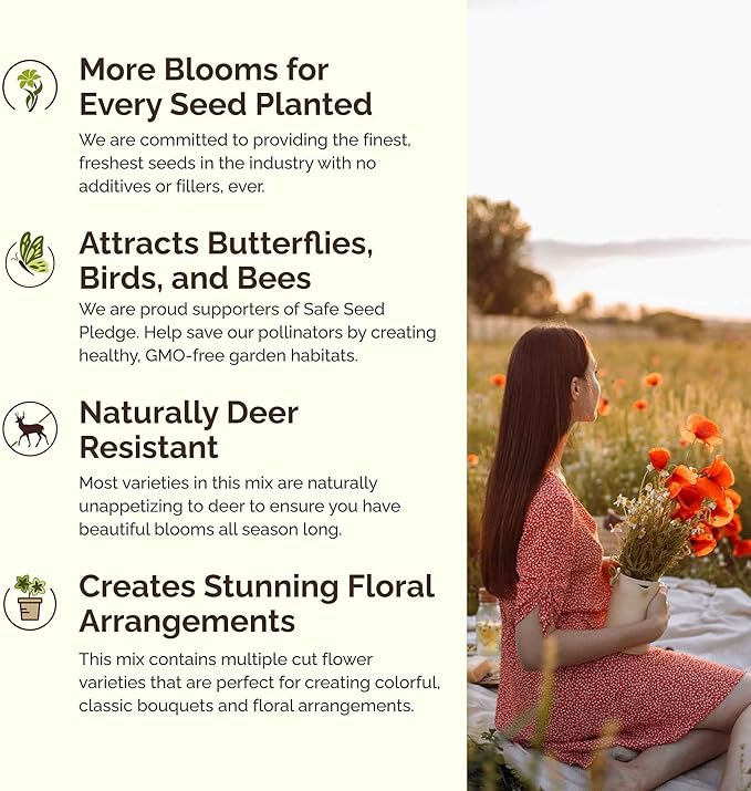 Eden Brothers California Wildflower Mixed Seeds for Planting, 1/4 lb, 120,000+ Seeds with Black Eyed Susan, Shasta Daisy | Attracts Pollinators, Plant in Spring or Fall, Zones 3, 4, 5, 6, 7, 8, 9, 10