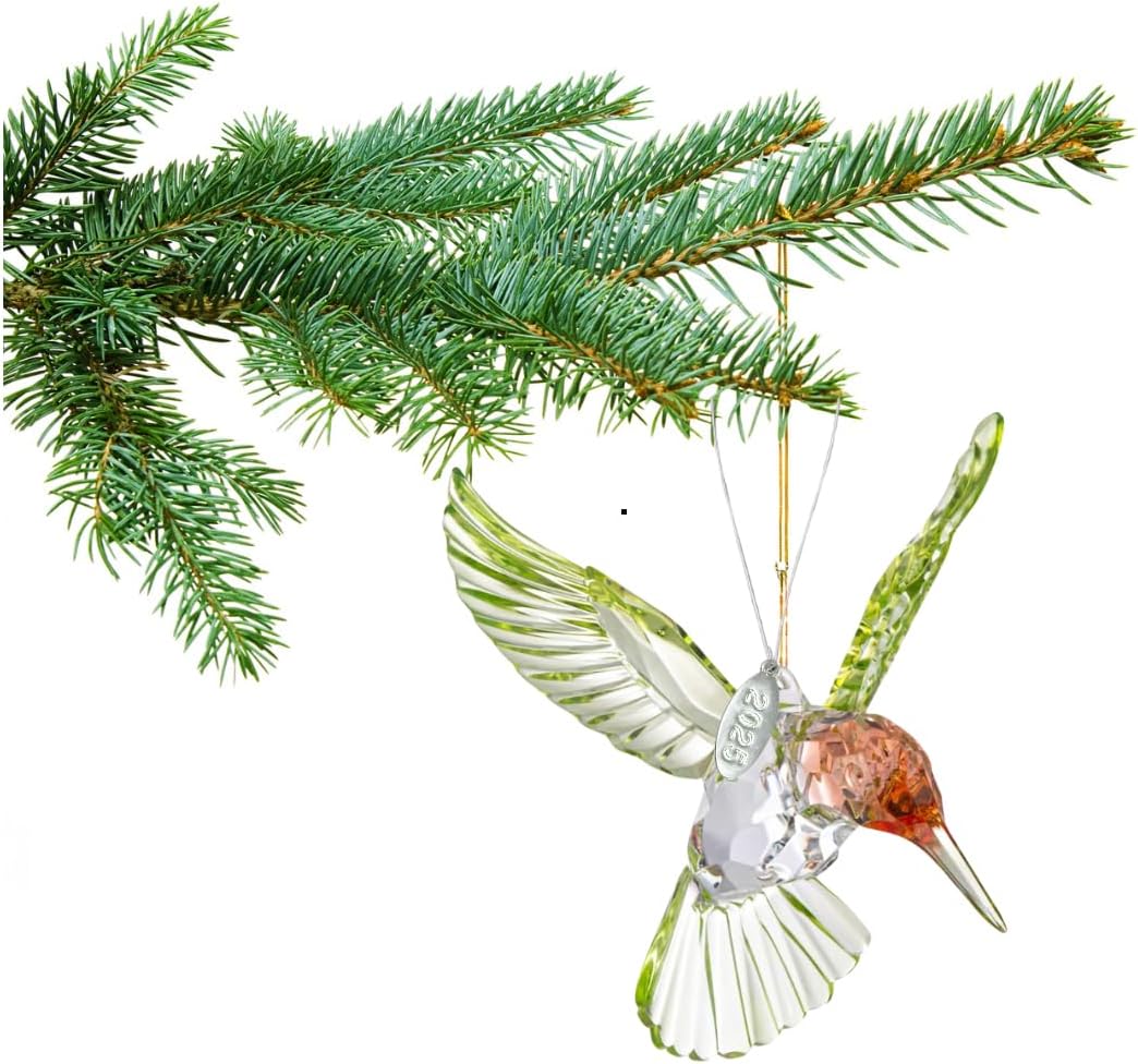 Crystal Suncatcher With Prism - 2025 Red-Throated Hummingbird Acrylic Ornament, Stunning Memorial Suncatcher, Includes Suction Cup, 2025 Hangtag and Gift Box