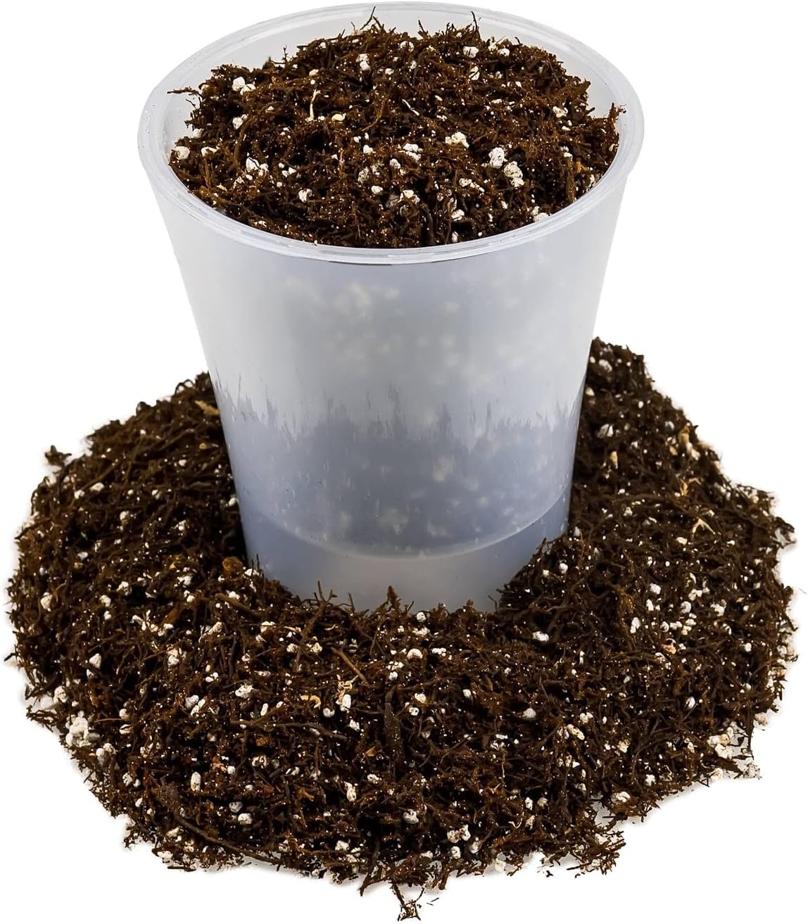 Gardenera Premium Organic Potting Soil, Succulent & Cactus Soil Mix, Fast Draining Pre-Mixed Blend - Horticultural Perlite (25%) + Peat Moss (75%) - Made in USA - 4 Quart