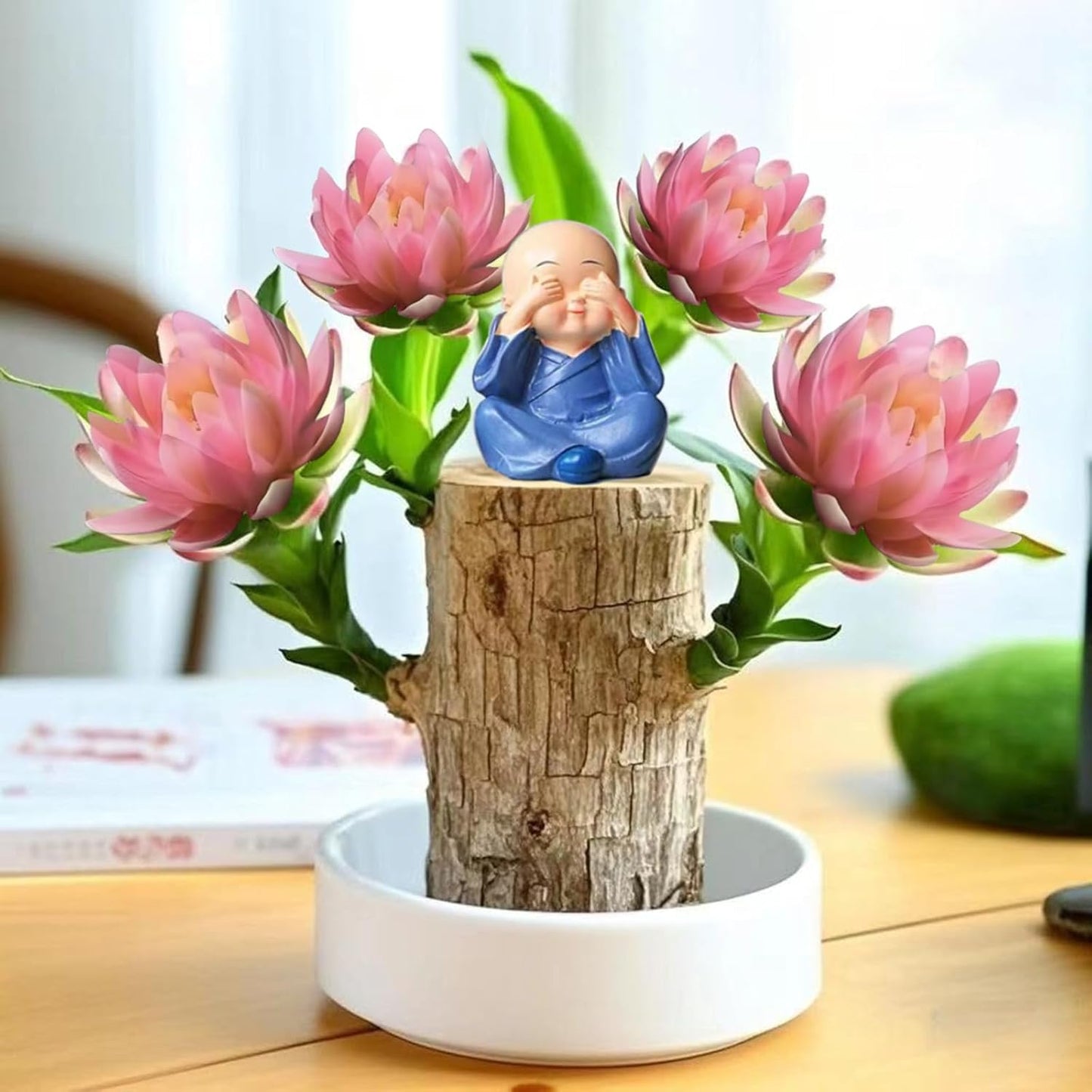 Brazilian Lucky Wood Kit with Monk, Grow Your Own Luck,Easy to Maintain Mini Brazil Woods for Indoor/Outdoor, Bedroom, Kitchen, Office Desk, Garden and Other Decorations (D)