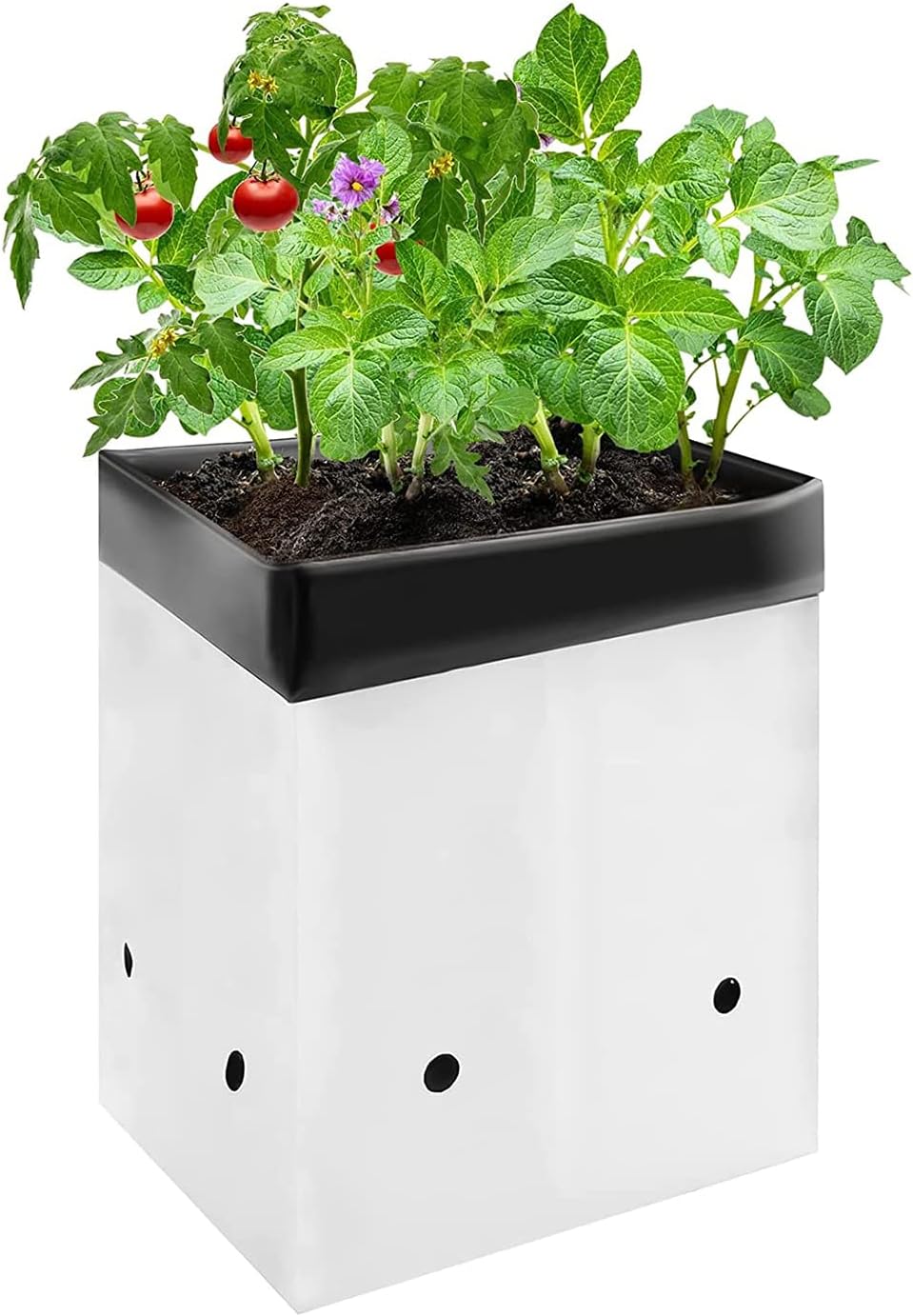 VIVOSUN 50-Pack 5 Gallon Grow Bags for Plants, Black-and-White Thick Plastic Bags for Potting Seedlings, and Rooting