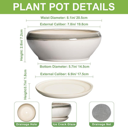 SQOWL Bonsai Tree Pots - 8 Inch Ceramic Succulent Pots with Drainage Hole and Saucer, Shallow Round Planter Indoor Outdoor, Ceramic Bonsai Pot, Planter Bowl, House Decor, Plant Lover Gift, Gray-Beige