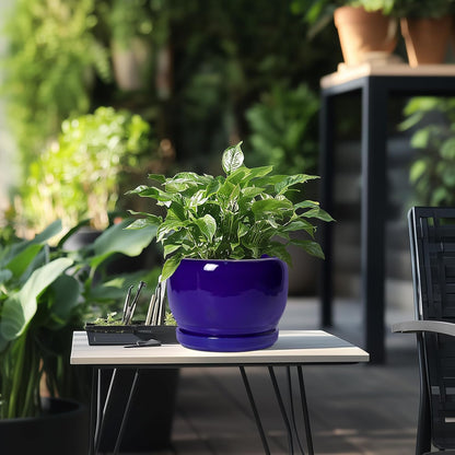SQOWL 8 Inch Plant Pot - Ceramic Planter for Indoor Plants Outdoor, Ceramic Flower Pot with Drainage Hole and Saucer, Modern Round Planter, Bathroom Decor, Gifts for Plant Lovers, Blue
