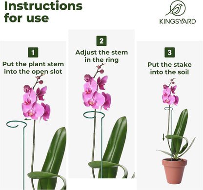 Kingsyard 24 Inch Plant Support Stake - 10 Pack, 4.5mm Thick All Metal Garden Plant Stakes Plant Prop for Single Stem Flowers Dahlia Amaryllis Orchid Lily Rose Peony Tomatoes Gladiolus