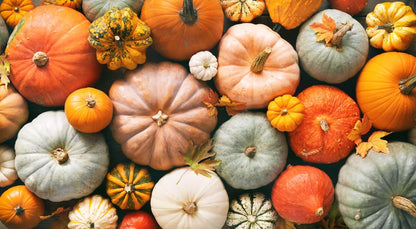 Spookie Pumpkin Seeds - Heirloom